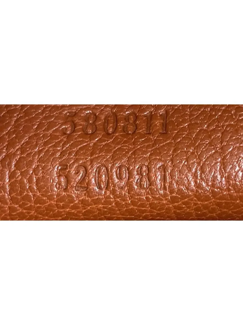 Gucci elevate your